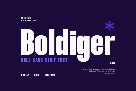 Boldiger Font Review