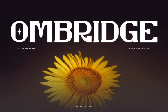Ombridge: The Slab Serif Font That Stops the Scroll